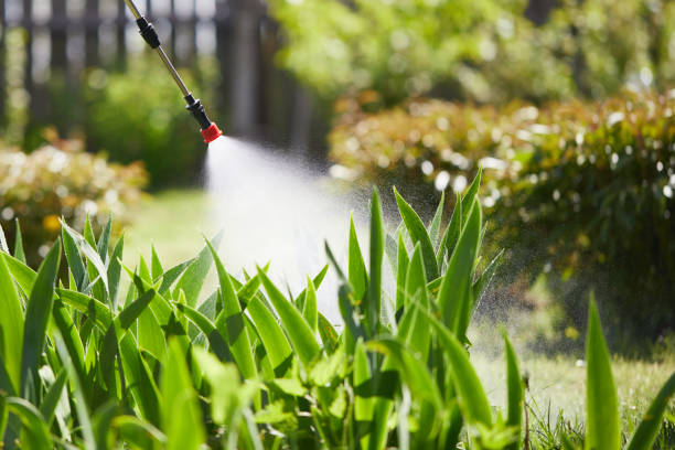 24/7 Emergency Ant Control experts in Adrian, MO